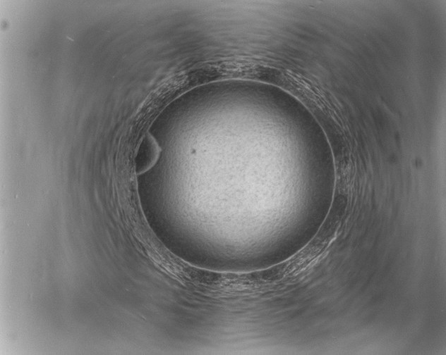 X0000060740913200511141129