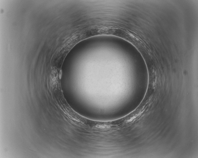 X0000060740914200511141129