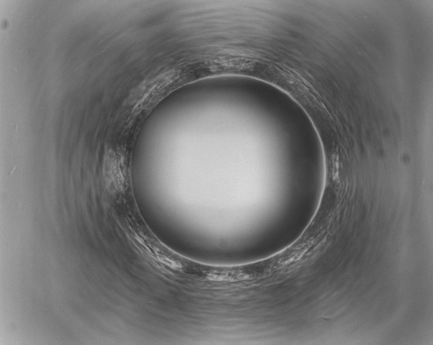 X0000060740915200511141129