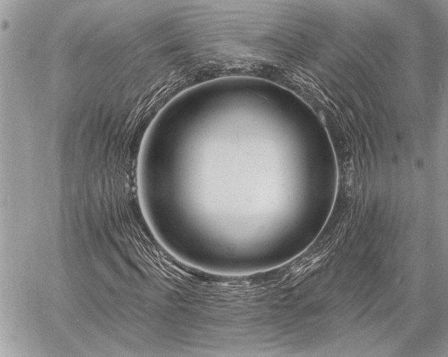 X0000060740916200511141129