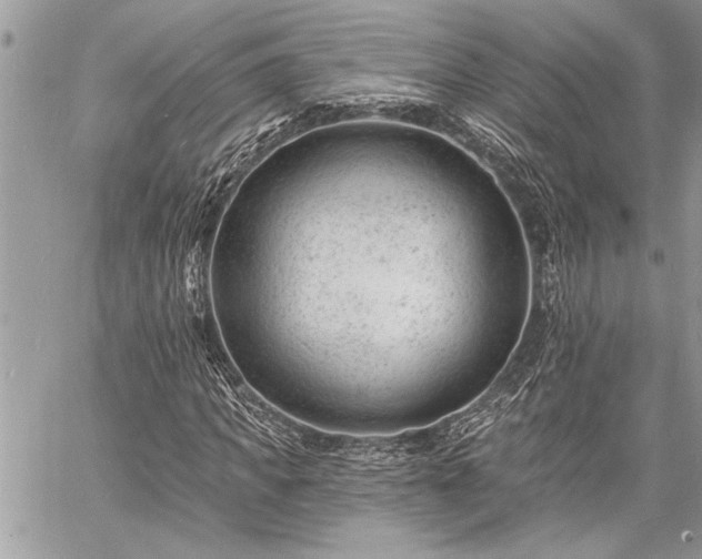 X0000060740917200511141129