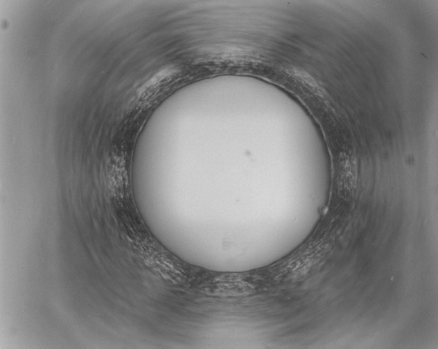 X0000060740918200511141129