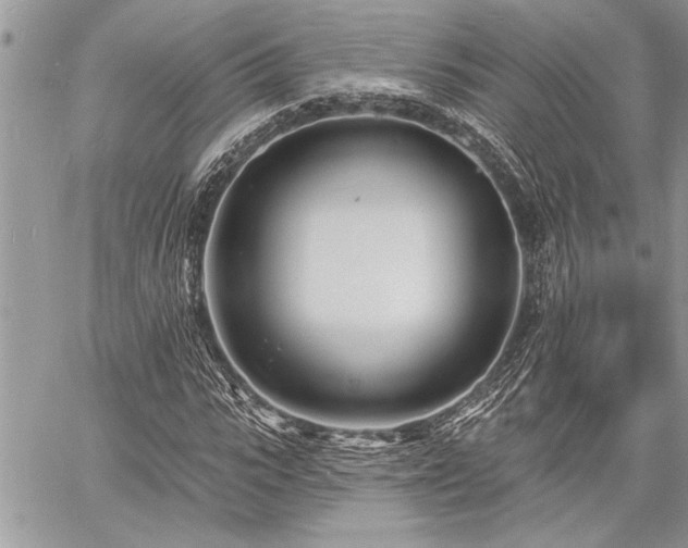 X0000060740919200511141129