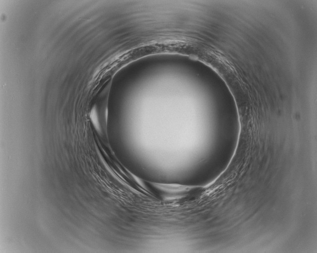 X0000060740920200511141129