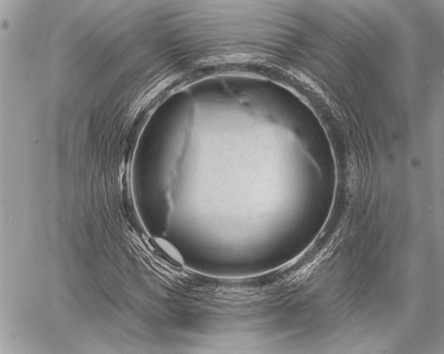 X0000060740921200511141129