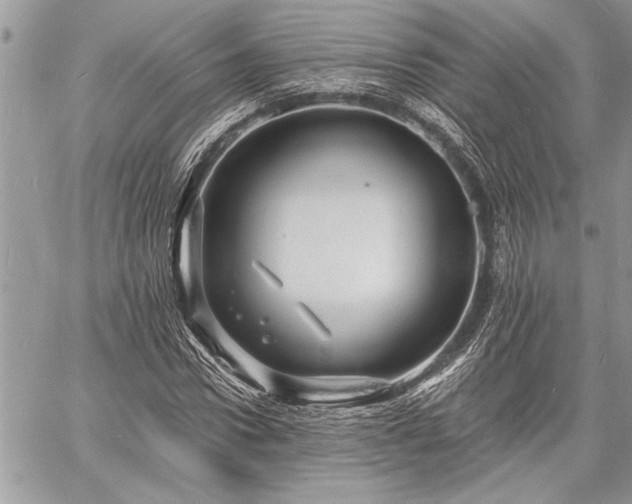 X0000060740922200511141129