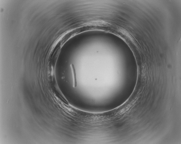 X0000060740923200511141129