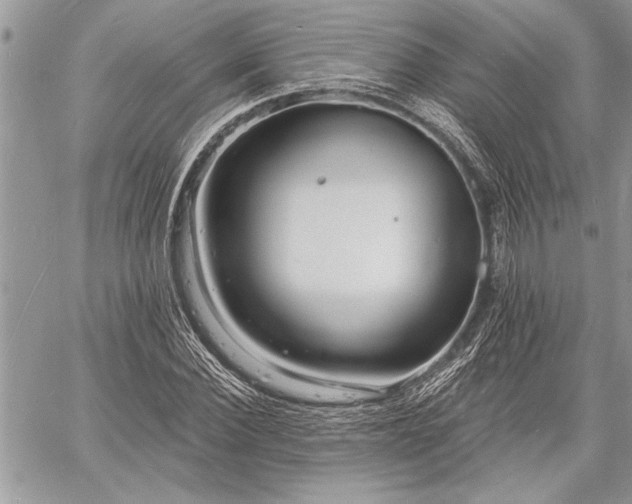 X0000060740924200511141129