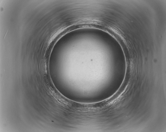 X0000060740925200511141129