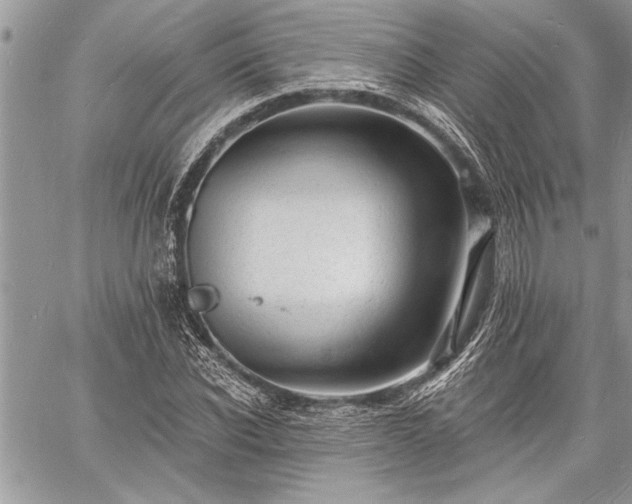 X0000060740926200511141129