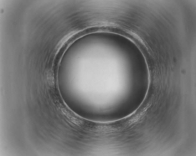 X0000060740927200511141129