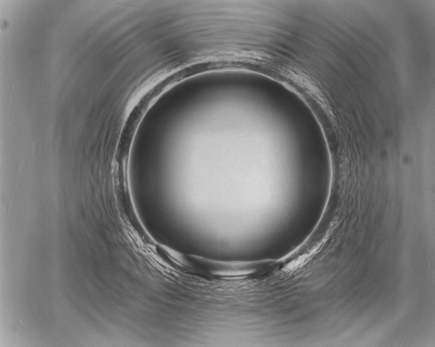 X0000060740928200511141129