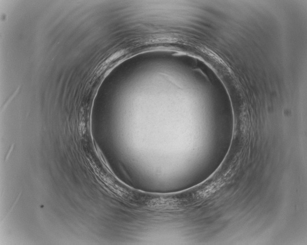 X0000060740929200511141129