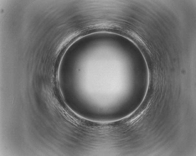 X0000060740930200511141129