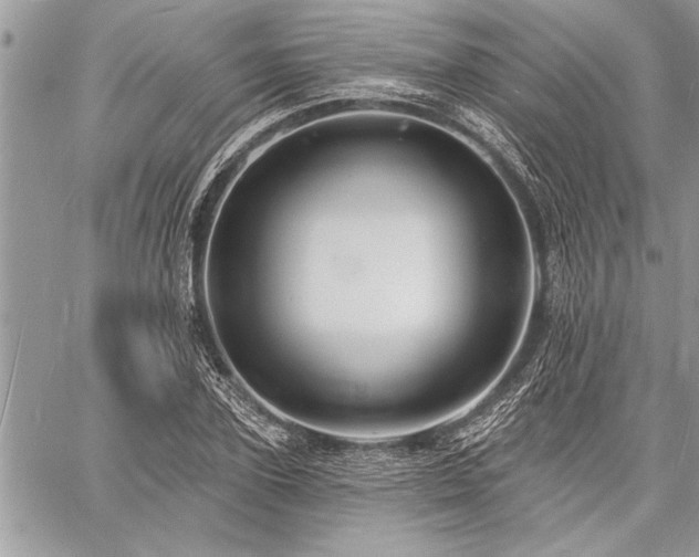 X0000060740931200511141129