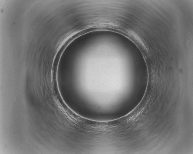 X0000060740932200511141129