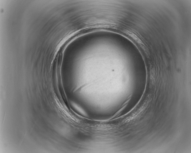 X0000060740933200511141129