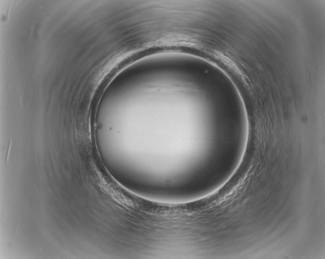 X0000060740934200511141129