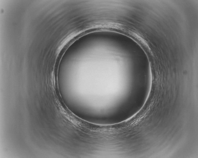 X0000060740936200511141129