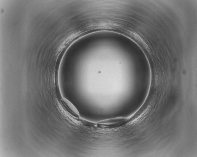 X0000060740938200511141129