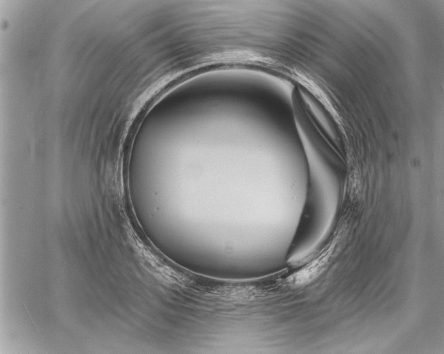 X0000060740939200511141129