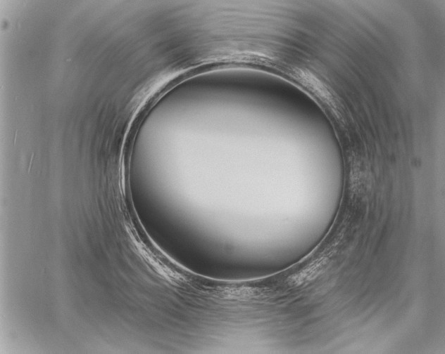 X0000060740940200511141129