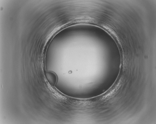 X0000060740941200511141129