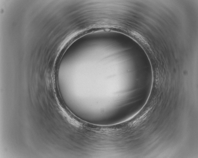 X0000060740942200511141129