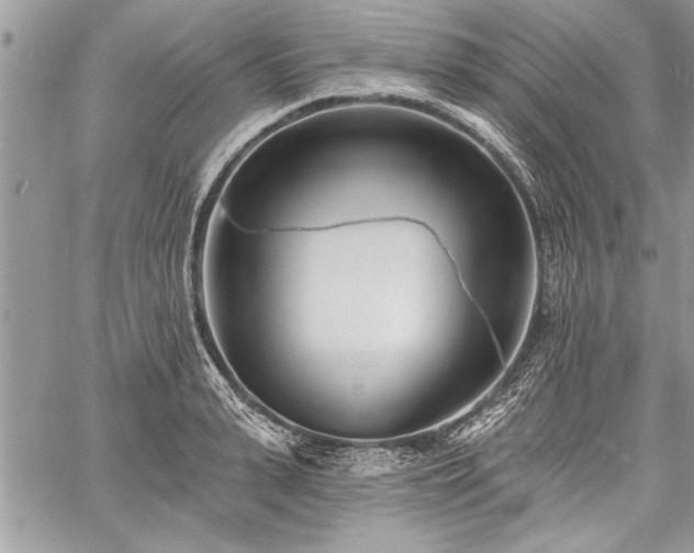 X0000060740943200511141129