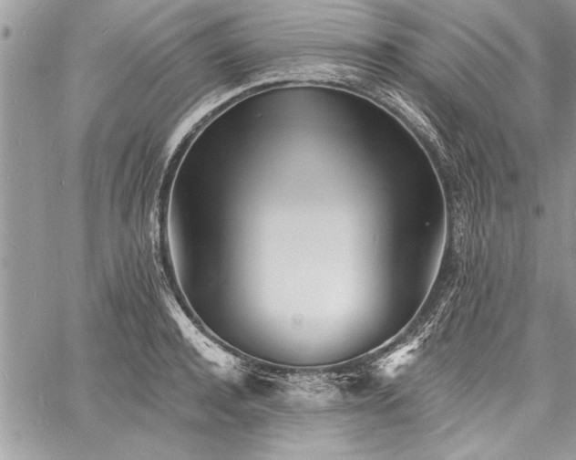 X0000060740944200511141129