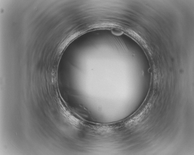 X0000060740945200511141129