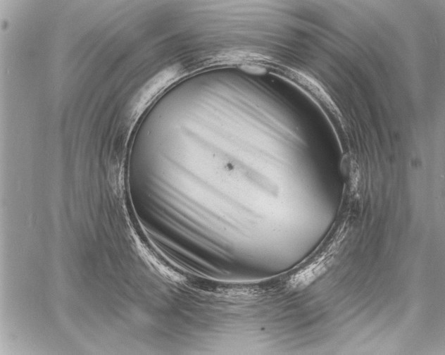 X0000060740946200511141129