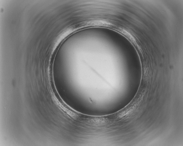 X0000060740947200511141129