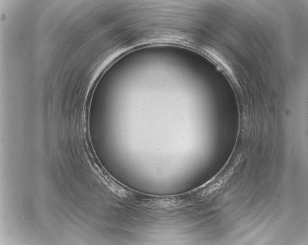 X0000060740948200511141129