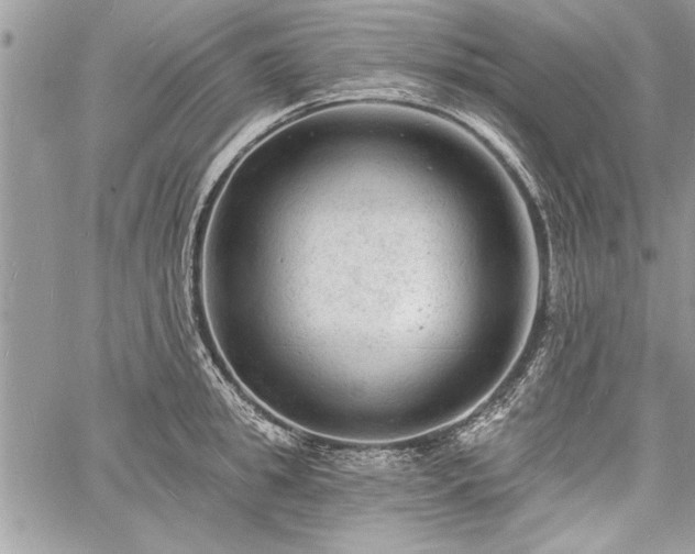 X0000060740949200511141129