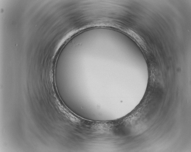 X0000060740950200511141129