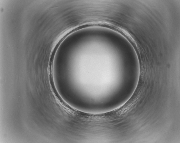 X0000060740951200511141129