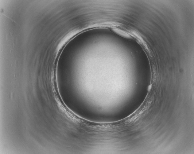 X0000060740952200511141129