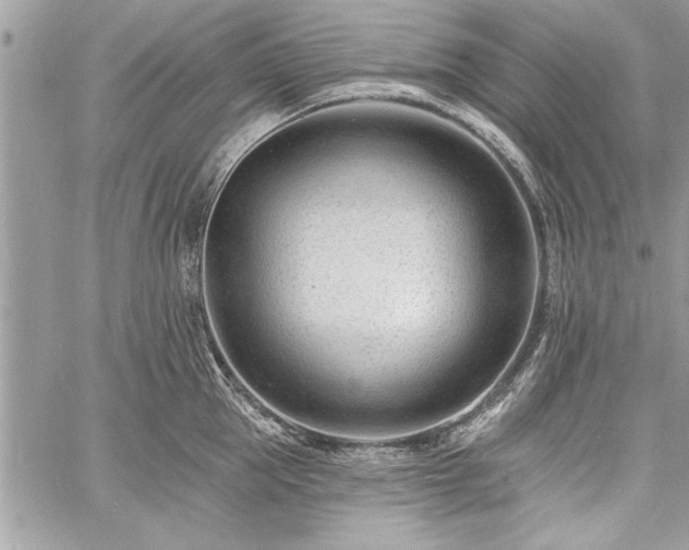 X0000060740953200511141129