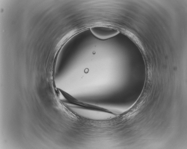 X0000060740954200511141129