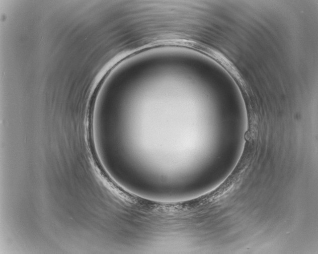 X0000060740955200511141129