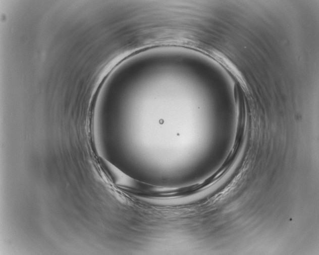 X0000060740956200511141129