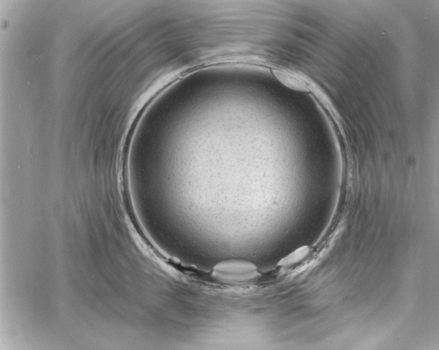 X0000060740957200511141129