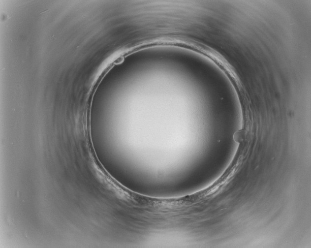 X0000060740958200511141129