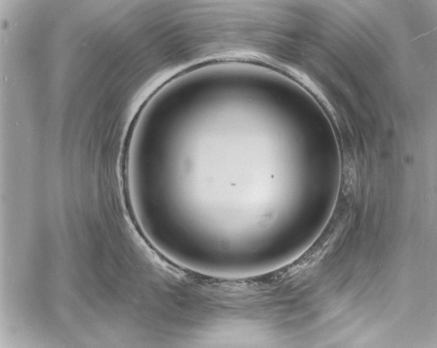 X0000060740959200511141129