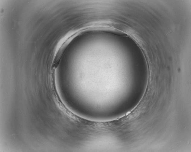 X0000060740960200511141130