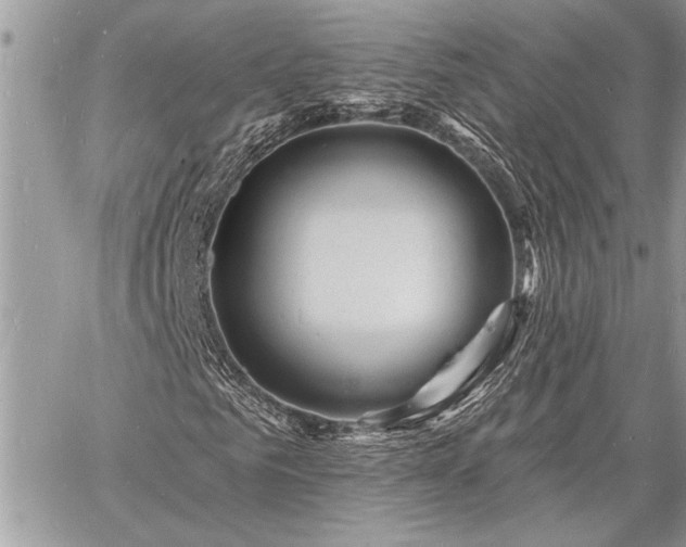 X0000060740961200511141129