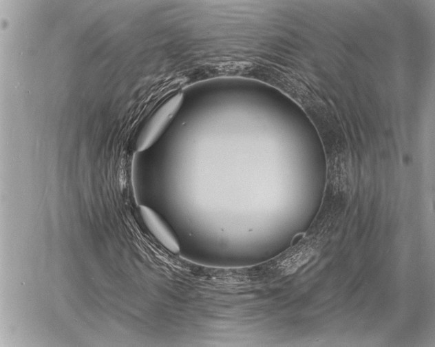 X0000060740962200511141129