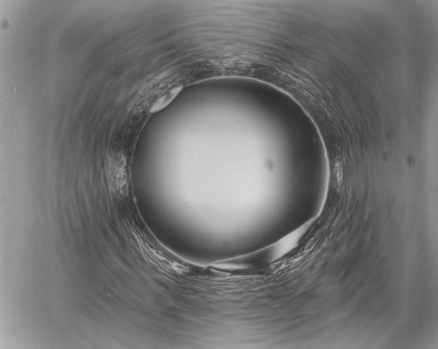 X0000060740963200511141129