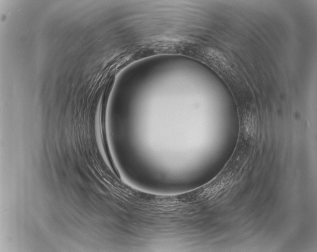 X0000060740964200511141129